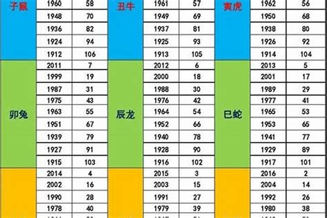 2029年五行